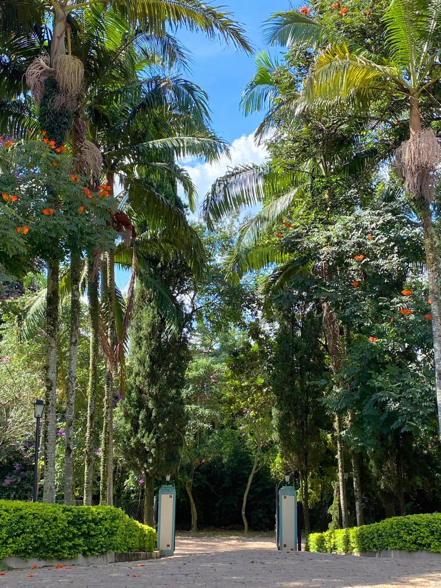 Limoeiro Da Concordia Hotel Fazenda De Charme Cabreúva المظهر الخارجي الصورة